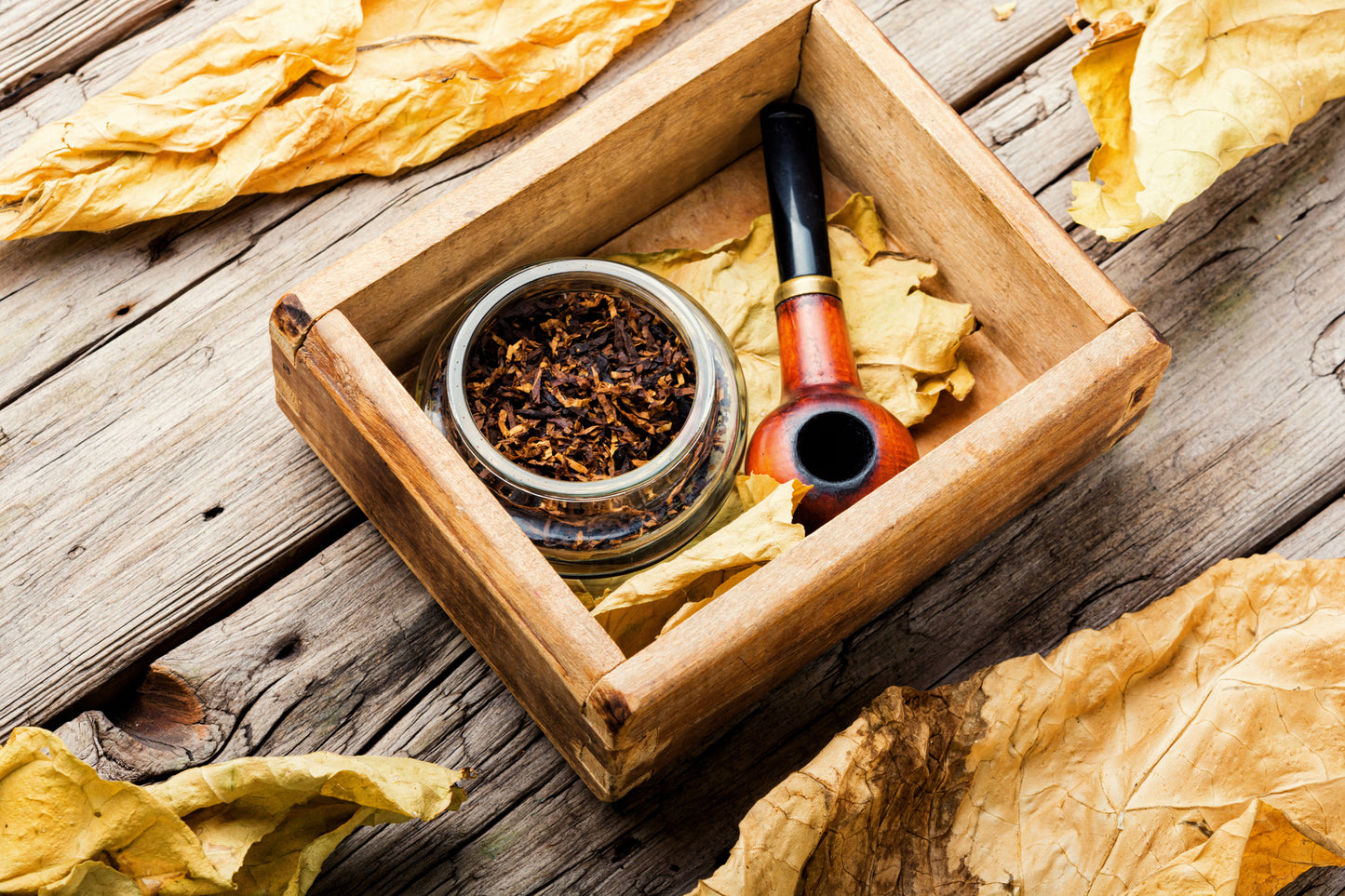 Teakwood and Tobacco Candle