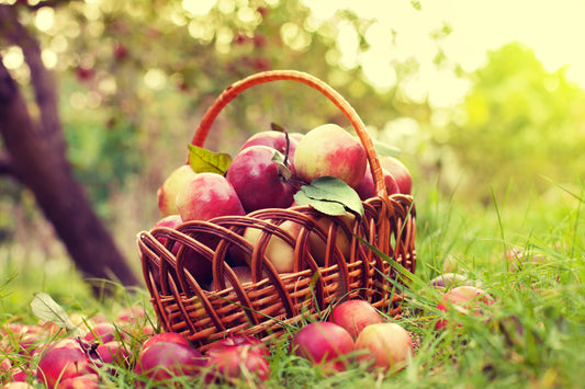 Apple Harvest Candle